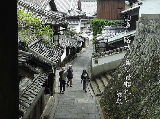Rekishi no Michi, Asuwayama Course