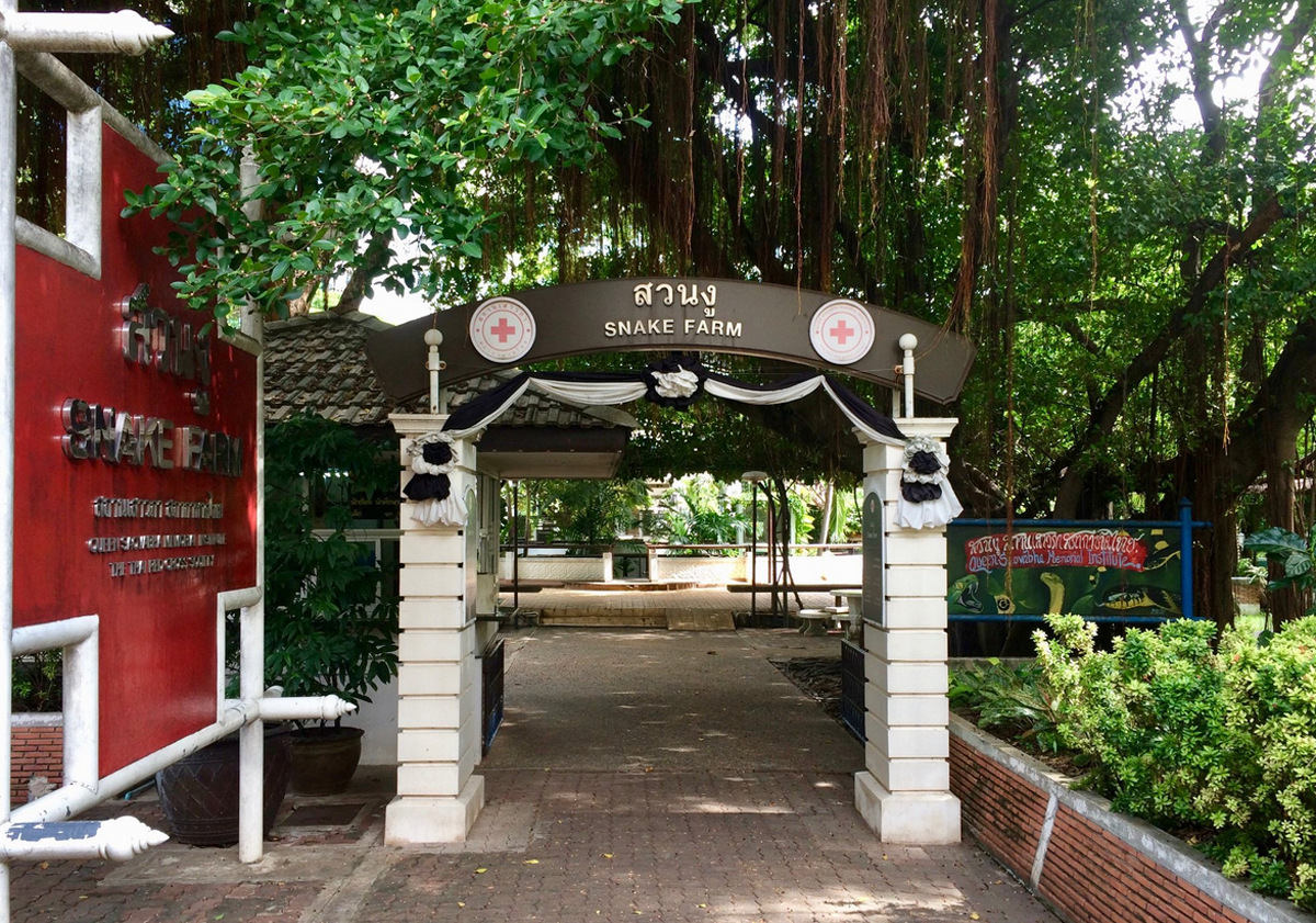 Snake Farm (Queen Saovabha Memorial Institute)
