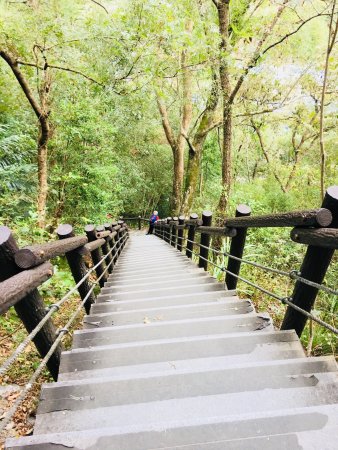 Shaolai Recreation Areas