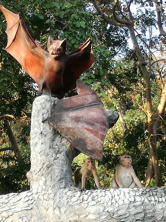 Bat Cave at Wat Khao Chong Pran