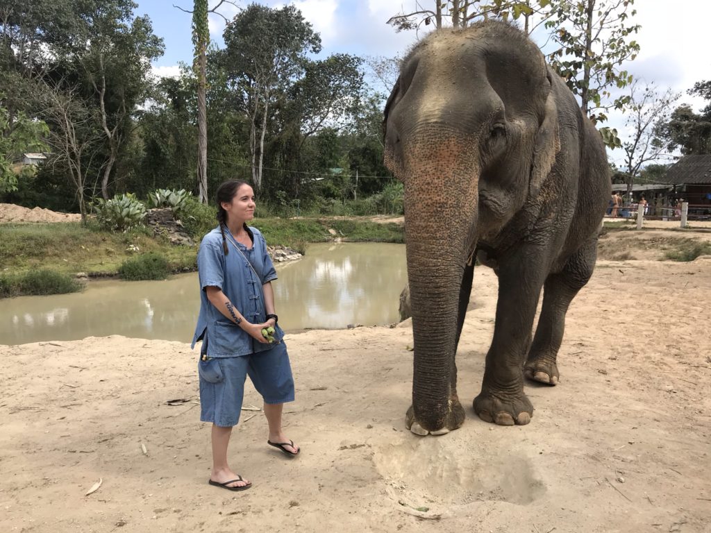 Maerim Elephant Sanctuary