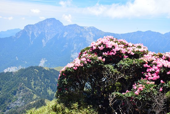 Hehuanshan East Peak Trail