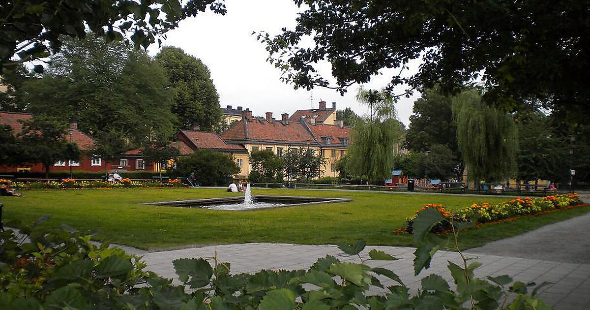 Nytorget