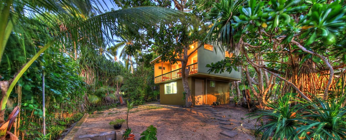 Blue Banana Beach Studios
