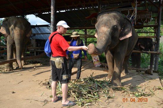 Ban Chang Thai - Elephant Camp