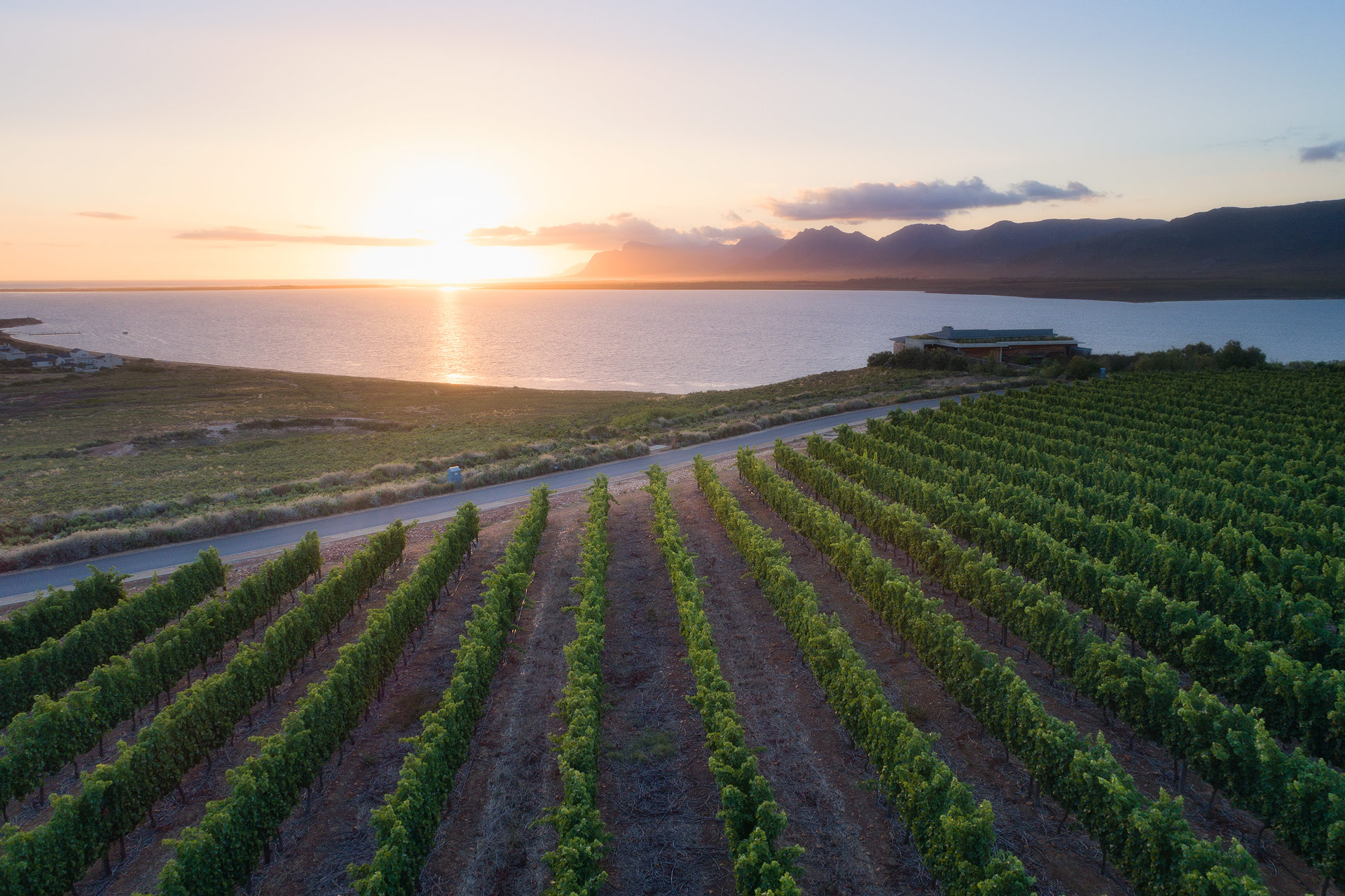 Benguela Cove Lagoon Wine Estate