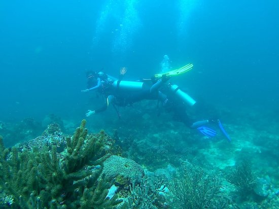 Scotty's Action Sports Network, Inc. Boracay