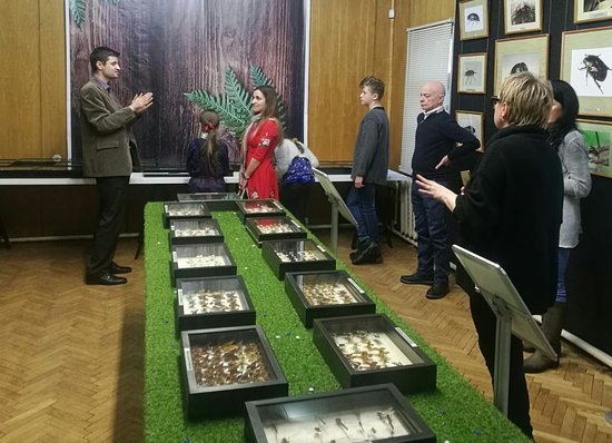 Kostin's Estate Museum