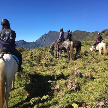 Les Chevaux du Maido