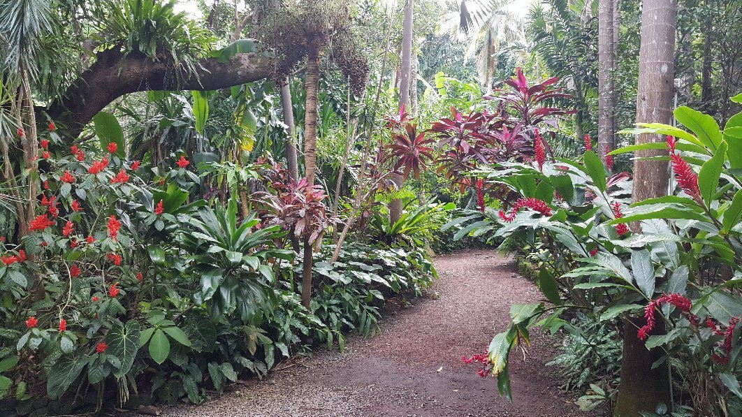 Jardin des Parfums et des Epices