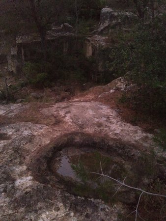 Outdoor Pictures 1