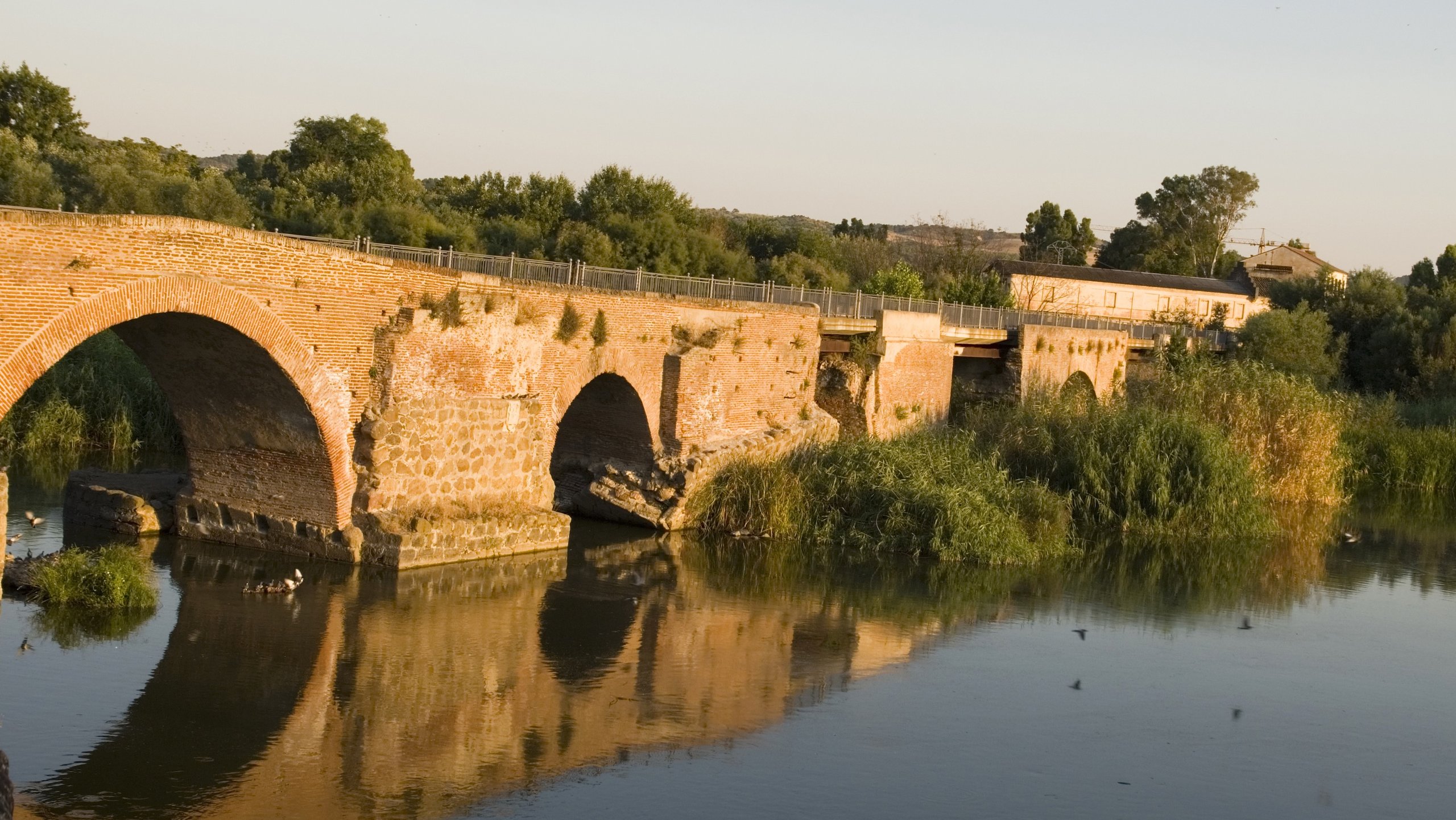 Castilla-La Mancha Bridge