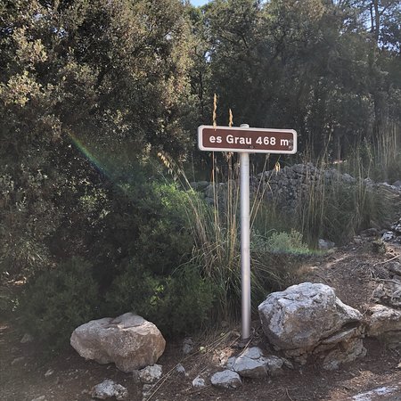RideMallorca