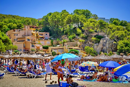 Camp de Mar