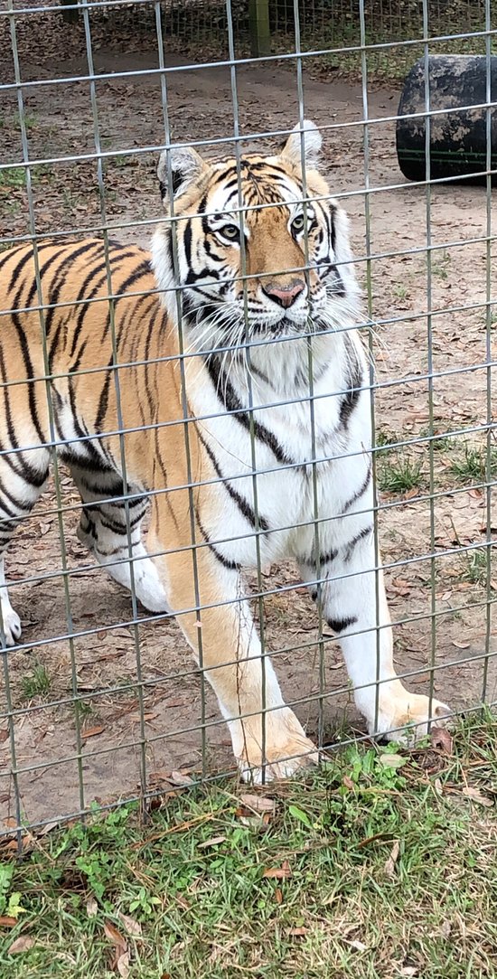 Carson Springs Wildlife Conservation Foundation