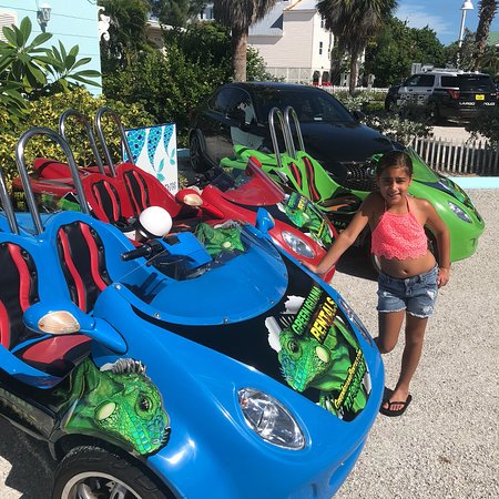Green Iguana Rentals