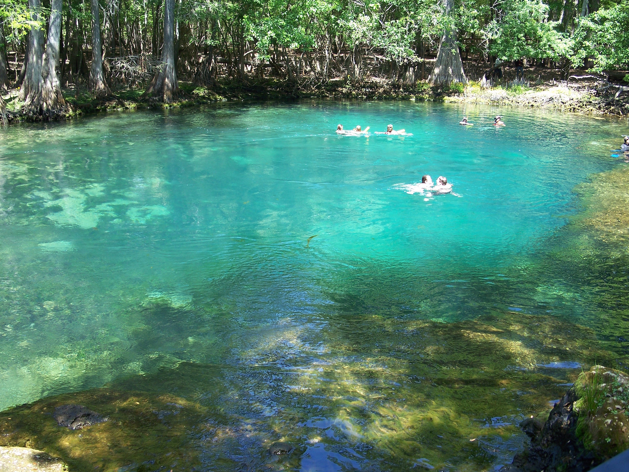 Manatee Springs