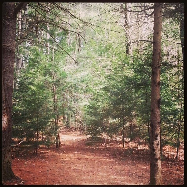 Sunny Brook State Park