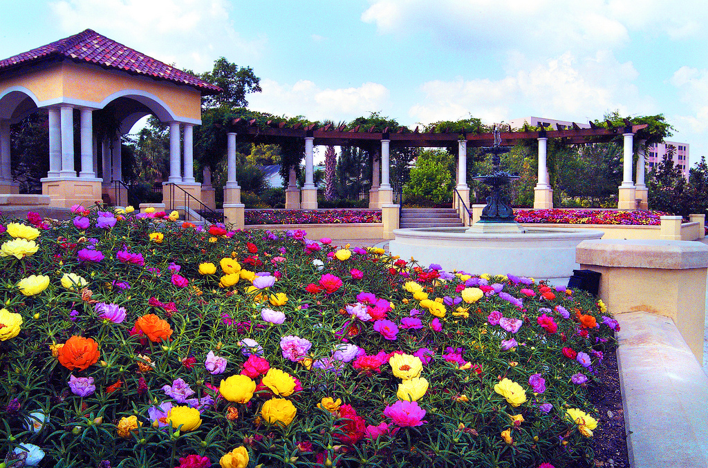 Hollis Garden