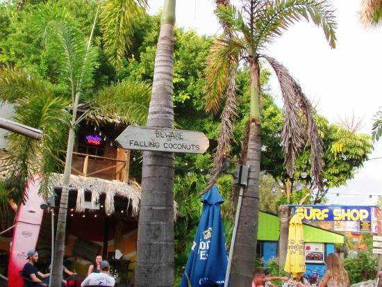 Gilligan's Island Bar & Grill