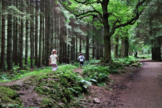Beecraigs Country Park