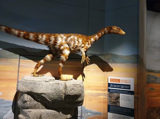 Porthcawl Museum