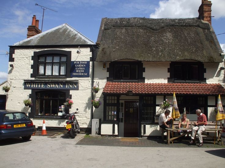 The Swan and Helmet