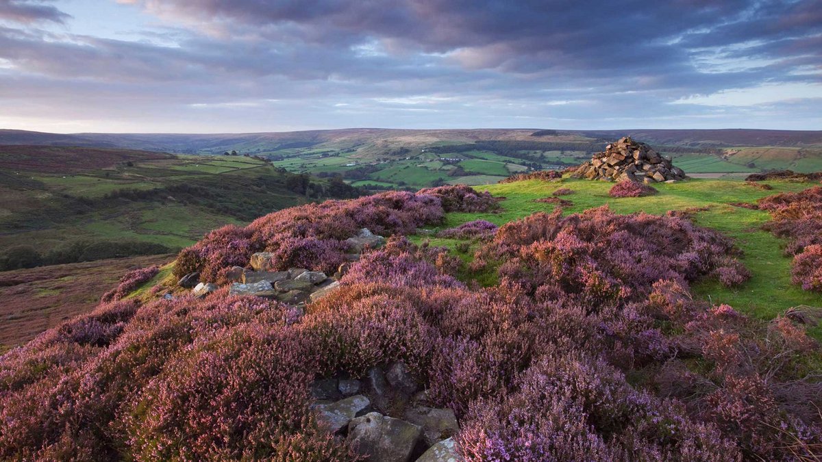 Moorlands Reserve