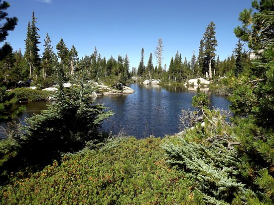 Wright's lake