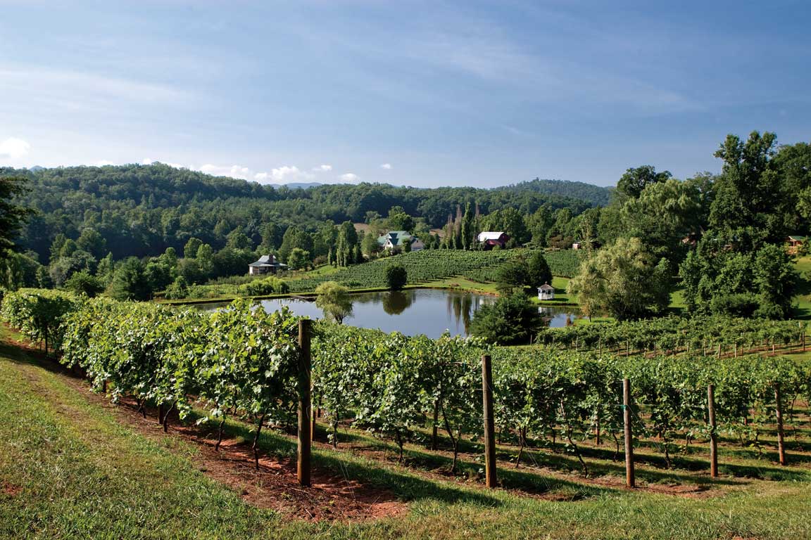 Beaver Creek Vineyards