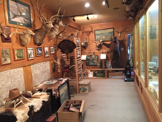 Bull Mountain Trading