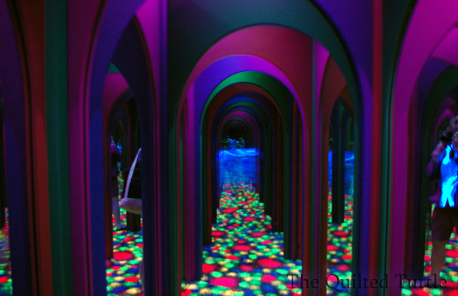 Maze of Mirrors