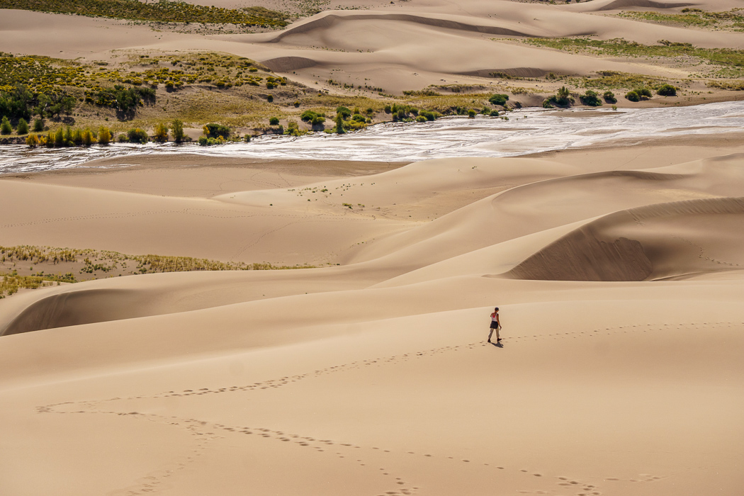 Sand Dunes Natural History Area
