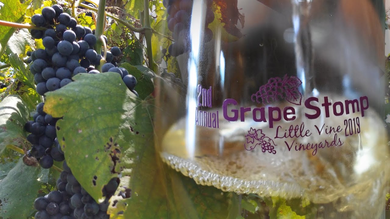 Little Vine Vineyards and Winery