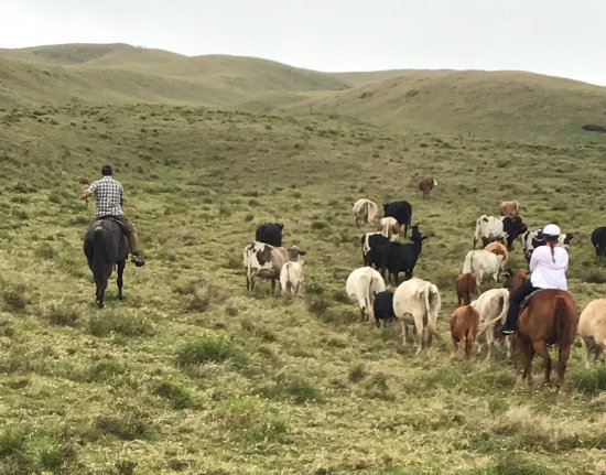 Dahana Ranch