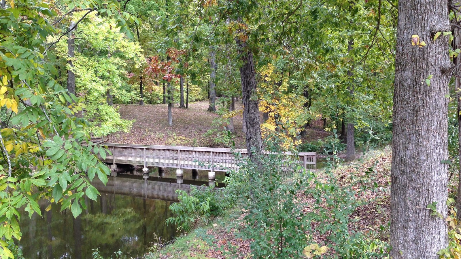 Lake Murphysboro State Park