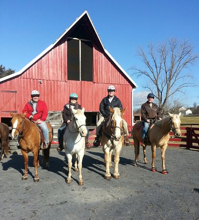 Royal Horseshoe Farm