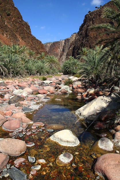 Wadi Dirhur Canyon