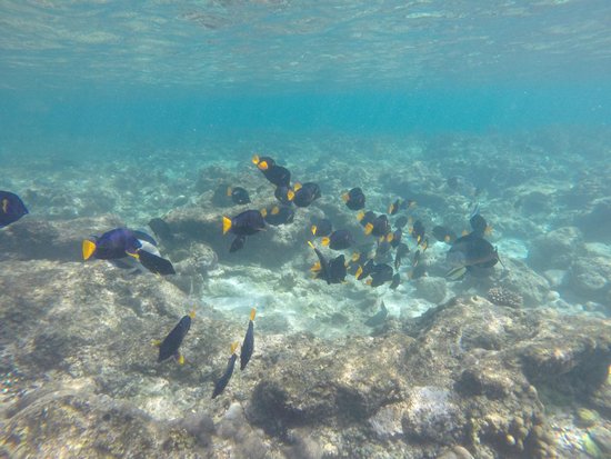 Dihamri Marine Protected Area