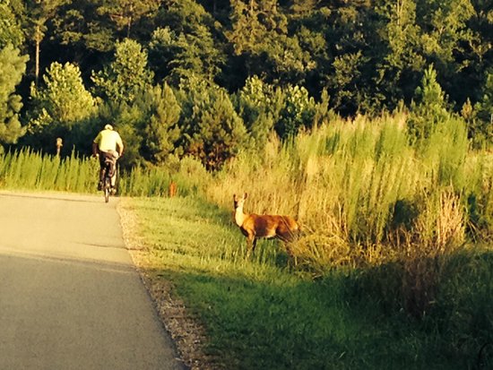 Capital Area Greenway
