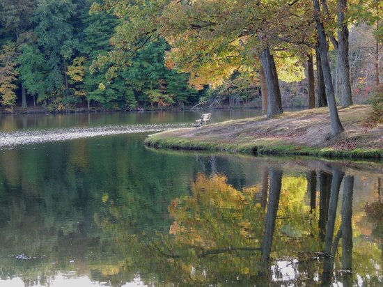Hudson Springs Park