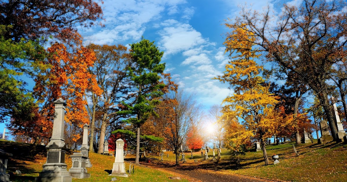 Ferncliff Cemetery & Arboretum