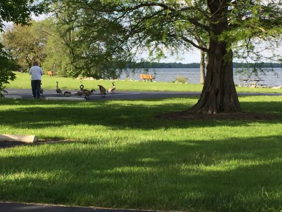 C.J. Brown Dam & Reservoir