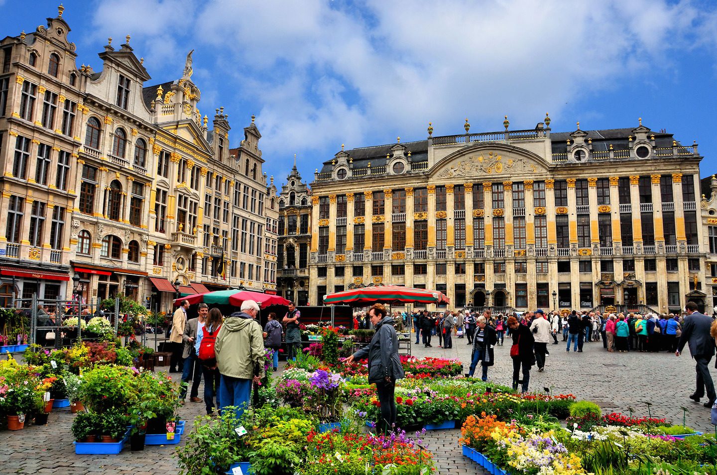 EUROPE SHUTTLE Brussels, Belgium