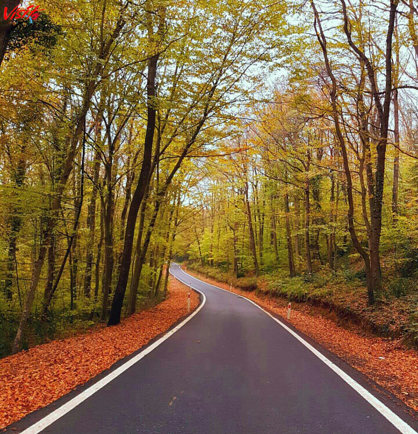 Belgrad Forest