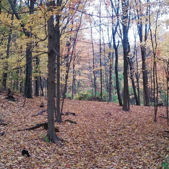 Outdoor Pictures 1
