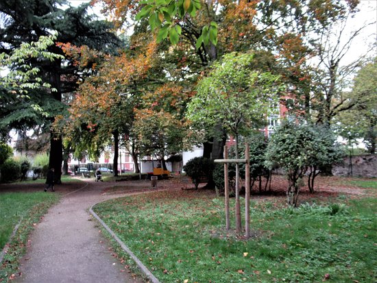 Outdoor Pictures 1