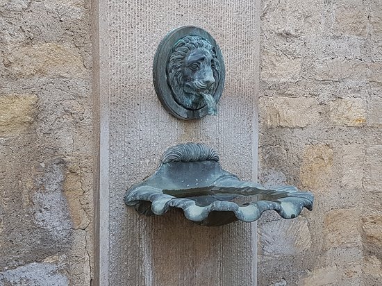 Coquille de Saint-Jacques de Compostelle