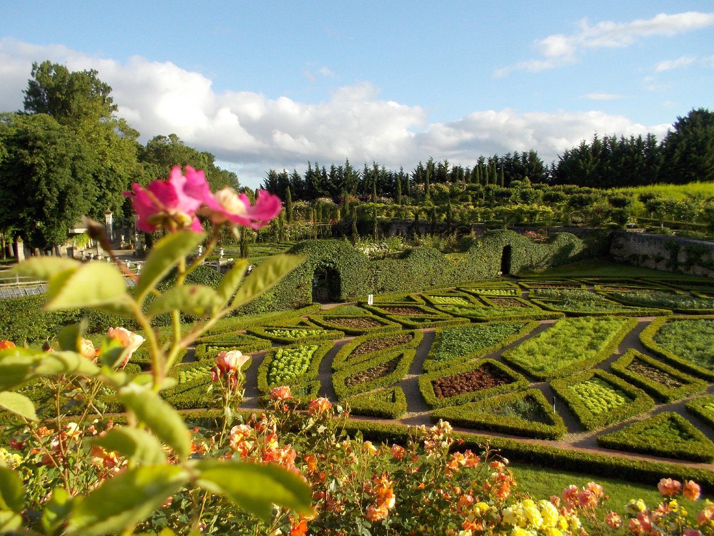 Fresque "Jardin extraordinaire"