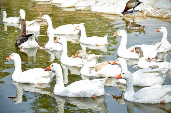 Al Areen Wildlife Sanctuary
